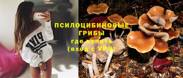 наркотики Богородицк