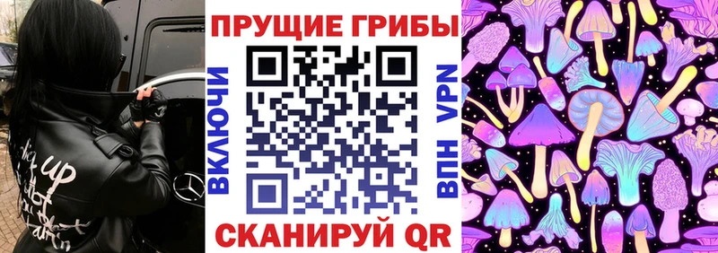 Галлюциногенные грибы мицелий  Морозовск 